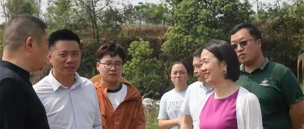 徐利帶隊督導瀘縣河湖長制、林長制工作