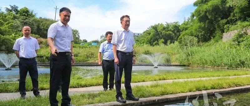 楊林興帶隊(duì)赴龍馬潭區(qū)調(diào)研督導(dǎo)學(xué)習(xí)宣傳貫徹習(xí)近平總書記來川視察重要指示精神工作